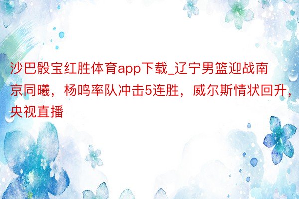 沙巴骰宝红胜体育app下载_辽宁男篮迎战南京同曦，杨鸣率队冲击5连胜，威尔斯情状回升，央视直播