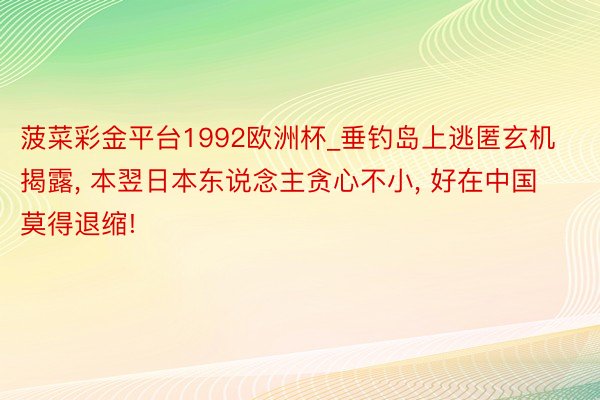 菠菜彩金平台1992欧洲杯_垂钓岛上逃匿玄机揭露, 本翌日本东说念主贪心不小, 好在中国莫得退缩!