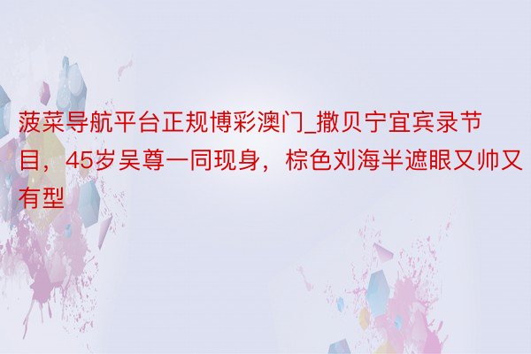 菠菜导航平台正规博彩澳门_撒贝宁宜宾录节目，45岁吴尊一同现身，棕色刘海半遮眼又帅又有型