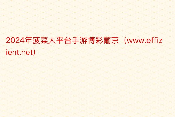 2024年菠菜大平台手游博彩葡京（www.effizient.net）